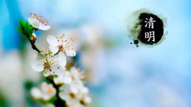 文明祭祀丨甘肃省民政厅下发通知：正确处理清明祭扫和疫情防控的关系