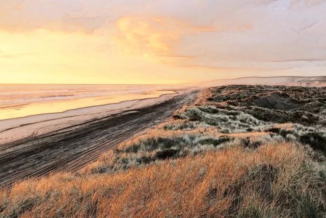 一个福利爆表的国家！新西兰人的生老病死都被国家包了