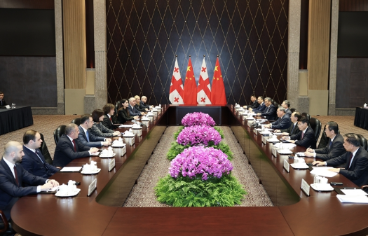 李强会见格鲁吉亚总理科巴希泽 李强会见格鲁吉亚总理科巴希泽